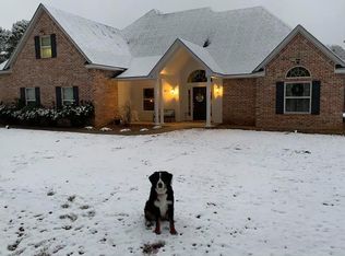 14203 State Highway 154 E, Diana, TX 75640