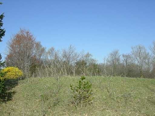 2nd image of 5104 Pheasant Trl