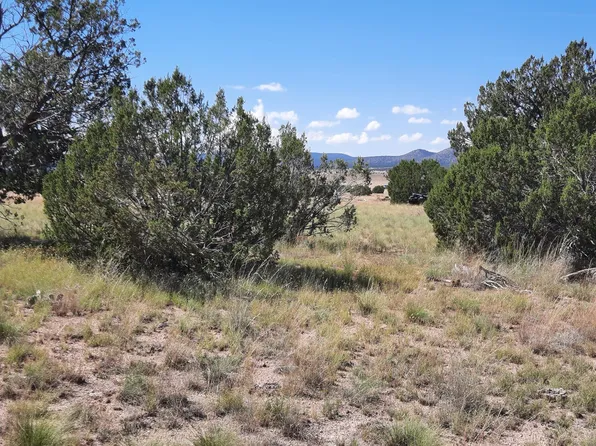 27596 San Juan Ln, Seligman, AZ 86337