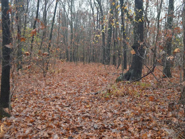 000 Logan Ridge Road, Ozark, MO 65721