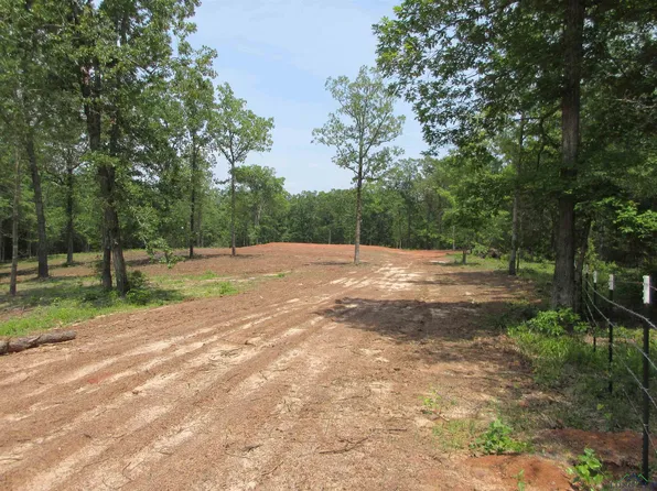 19364 Fm 450 N, Diana, TX 75640