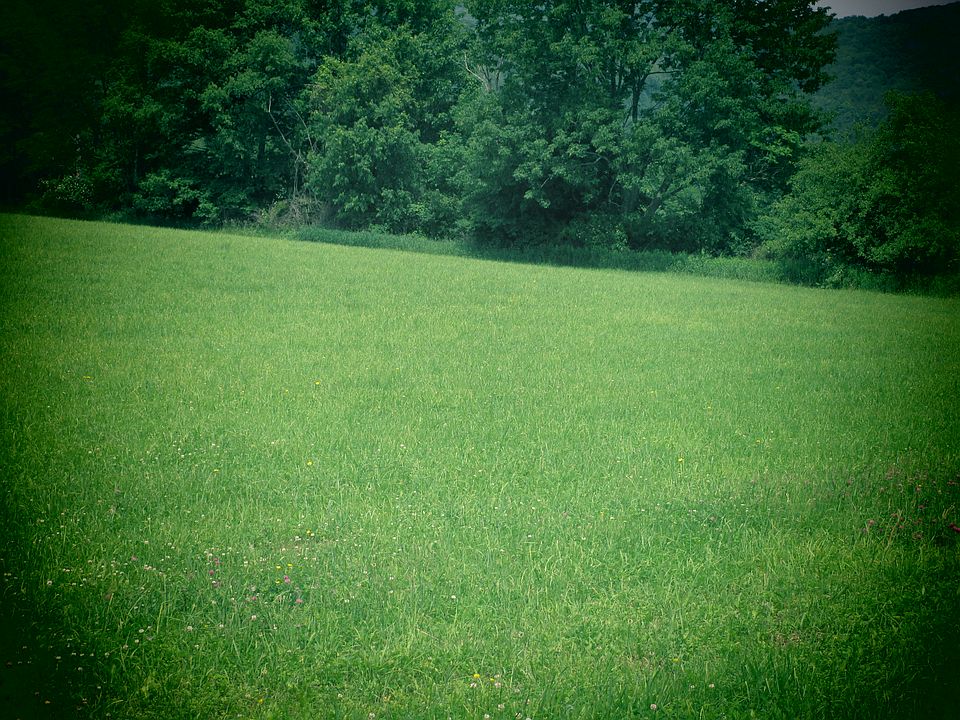 2nd image of 900 Wagner Road