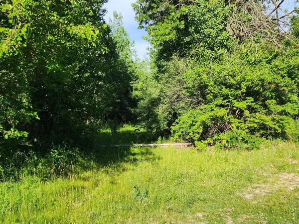 574 Caleb St, Braidwood, IL 60408