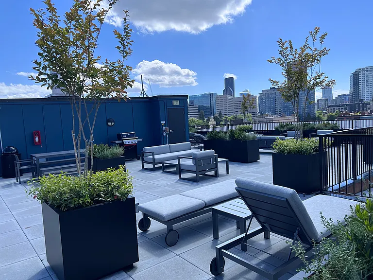 Newly renovated rooftop (south side)