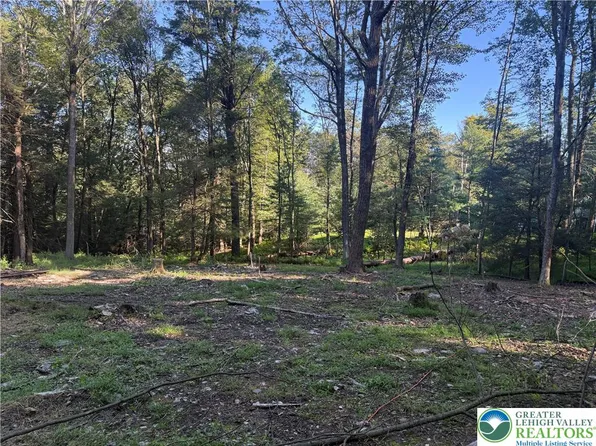 208 Cedar Ln, Saylorsburg, PA 18353