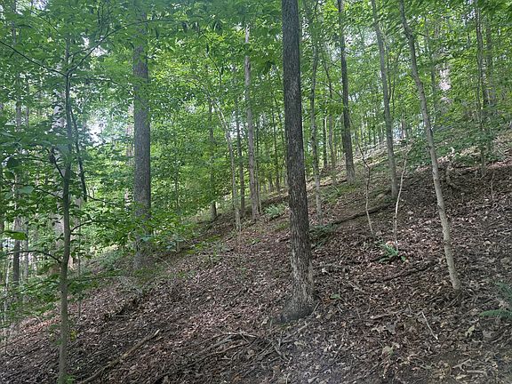 5th image of 0 Perry Springs Rd