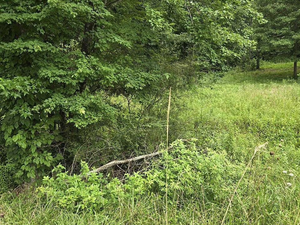 1st image of Clairmont Springs Rd