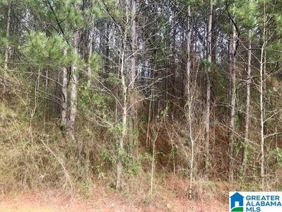 LOT A27 Mountain View Rd, Anniston, AL, 36201