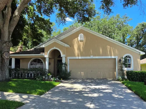 3049 Beaver Pond Trl, Valrico, FL 33596