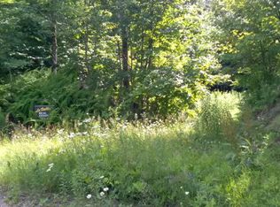 0 Walkerville Rd, North Bangor, NY 12966