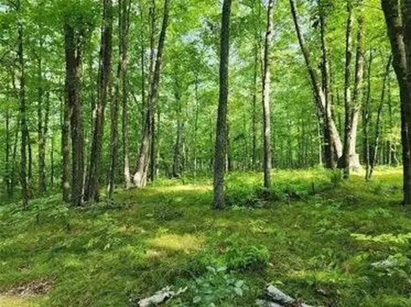 4025 Overland Dr, Webster, WI 54893