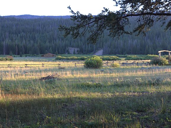view of meadow