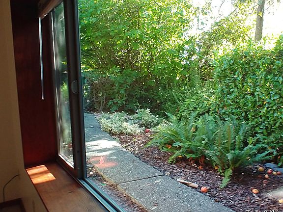 Living Room Picture Window View