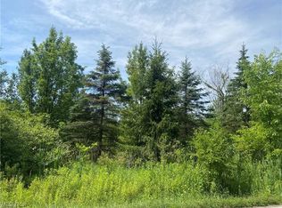 Mines Rd SE, Warren, OH 44484