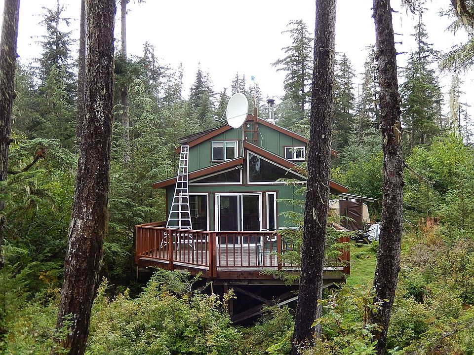 View from the forest....