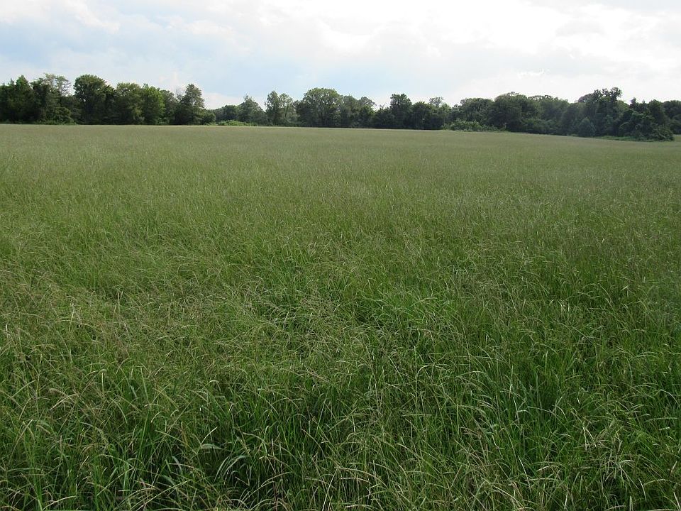 1st image of 6456 S Highway 159 Lot Wp001