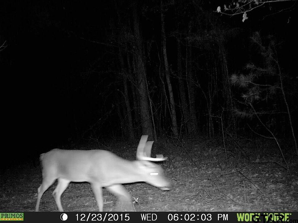 1st image of 000-0 SW County Road 3514