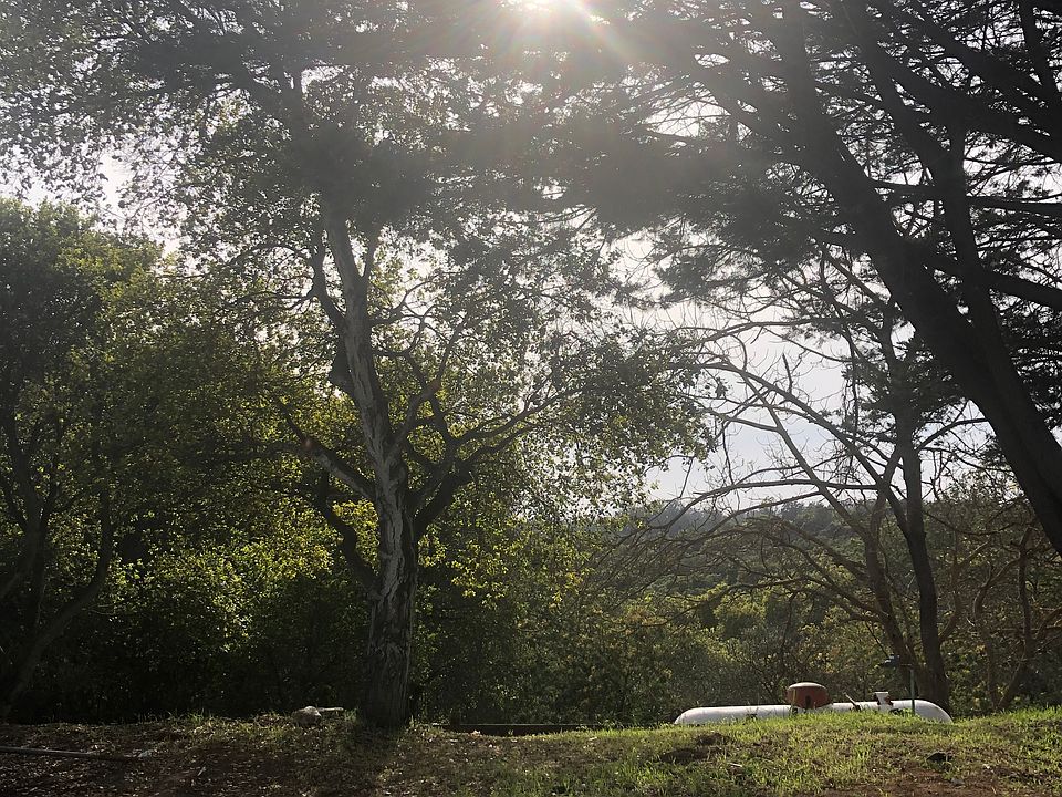 Sunset from the backyard 