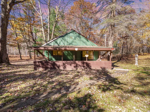 3385 Jones Rd, Beaverton, MI 48612