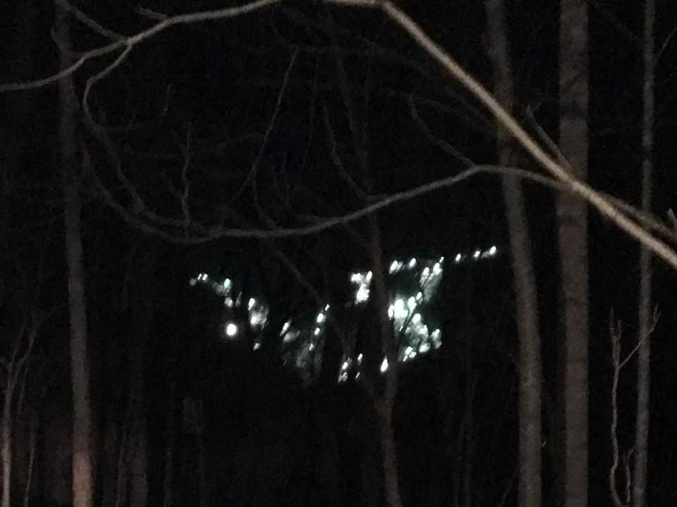 1st image of 141 Hogan Ct