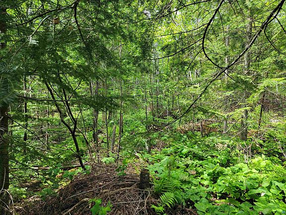 4th image of 1924 County Rd 7