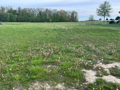 2206 Eaglebrooke Cir, Celina, OH, 45822