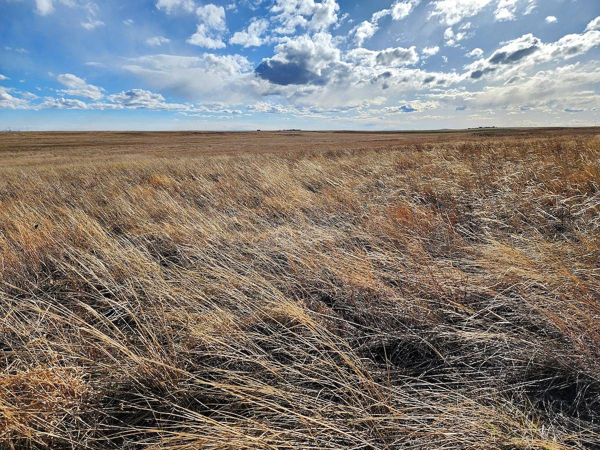 Road 16s, Bushnell, NE 69128 MLS 11273945 Zillow