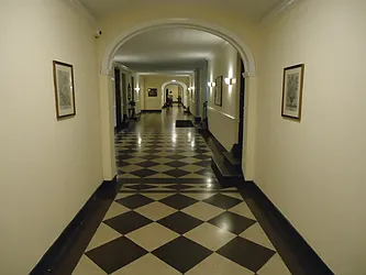 Rented by The Coop Connection LLC