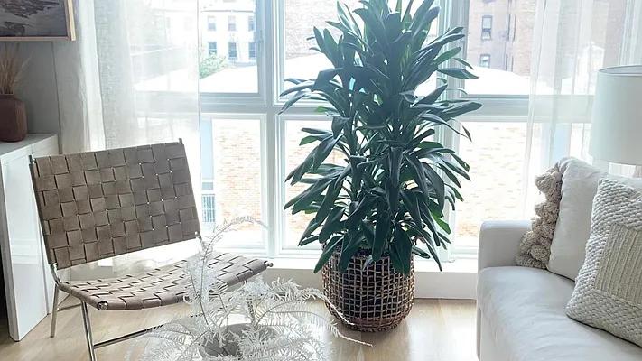 Rented by Nooklyn NYC LLC | media 31