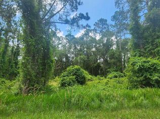 123 SE 2nd St, Georgetown, FL 32139