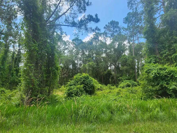 123 SE 2nd St, Georgetown, FL 32139