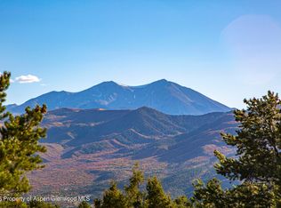 539 Sunrise Ln, El Jebel, CO 81623