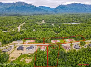L6 E Windy Woods Loop, Palmer, AK 99645