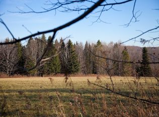 LOT 3 Hall Rd LOT 3, Erieville, NY 13061