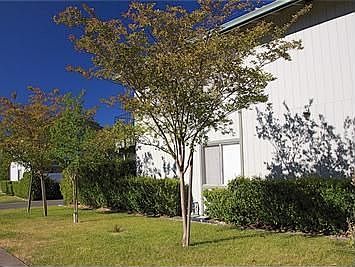 2nd image of 145 Washington Ct