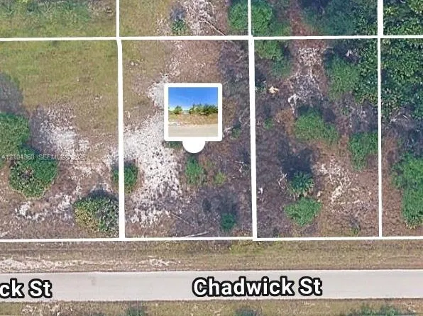 1043 Chadwick St, Lehigh Acres, FL 33974