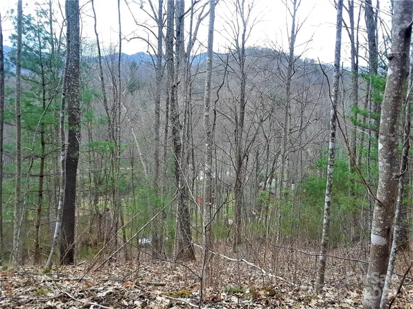 0 Flagstaff Dr, Sylva, NC 28779