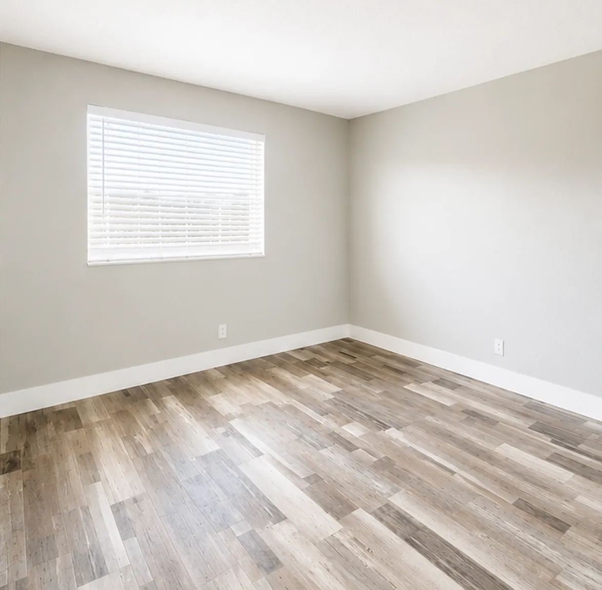 2 bed, 725 sqft, $2,000 — Photo 2