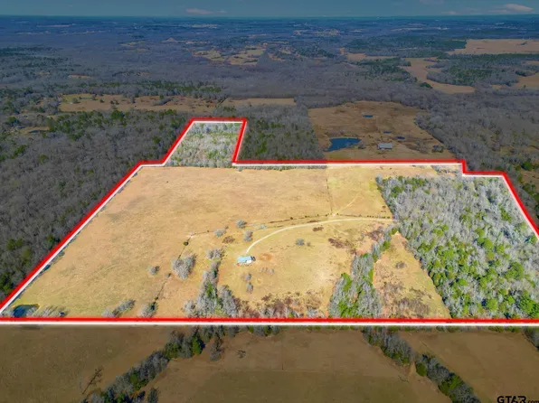 0 Vz County Road 4915 Rd, Ben Wheeler, TX 75754