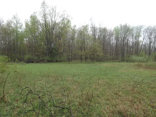 V/l W Stanton Rd, Pierson, MI 49339