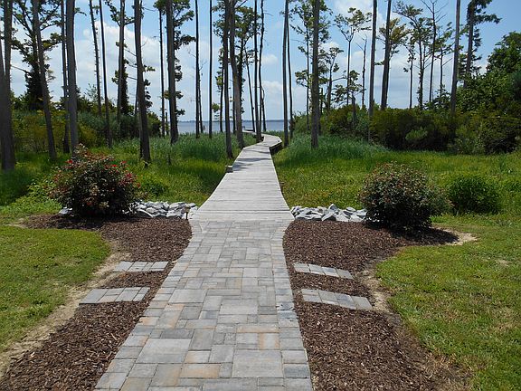view to the boardwalk/dock