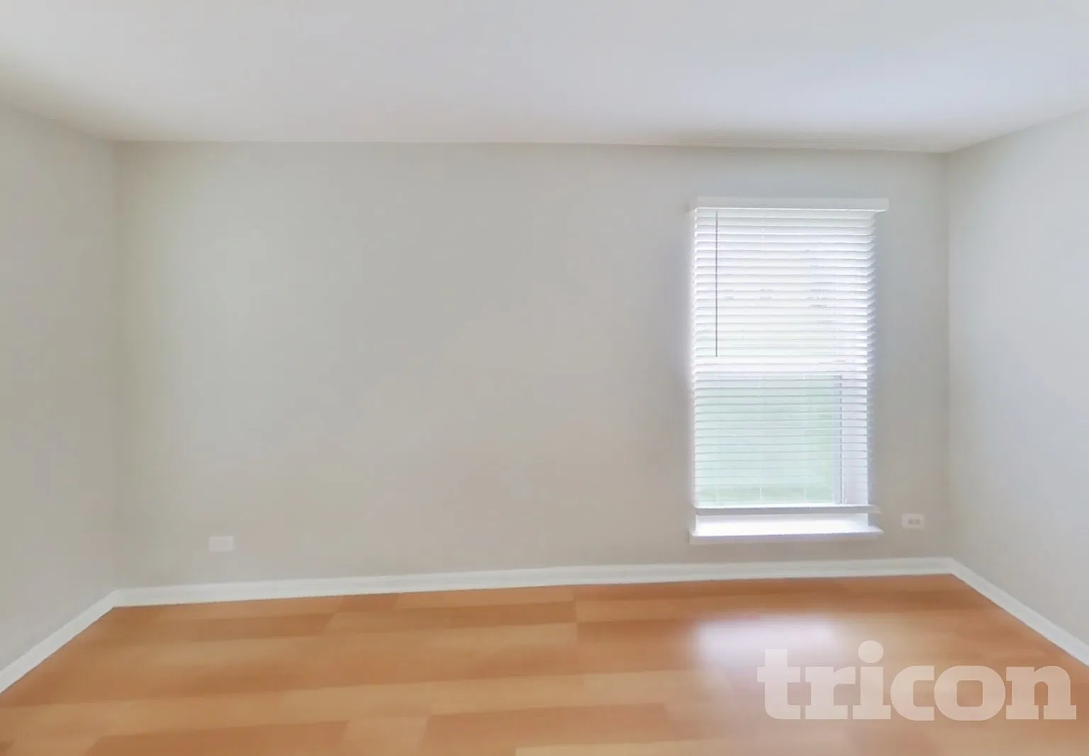 3 Kaelynn Court South Elgin IL — Photo 2