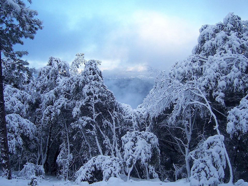 View from deck level