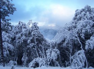 15555 Forest Cir, Forest Ranch, CA 95942