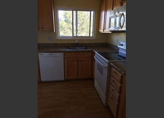 kitchen view of trees