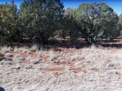 1501 W Mooney Pkwy, Payson, AZ, 85541