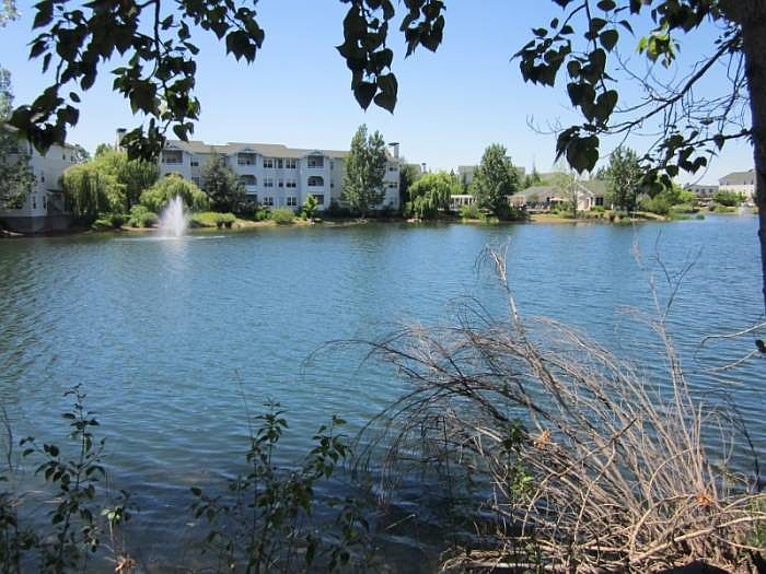 Private Lake
