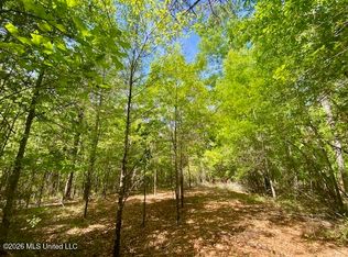 W Smith Ferry Rd, Sontag, MS 39665