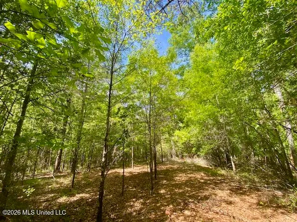 W Smith Ferry Rd, Sontag, MS 39665