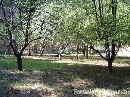 3 car coach house / barn